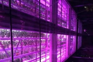 HET culinaire hoogtepunt van mijn verjaardag