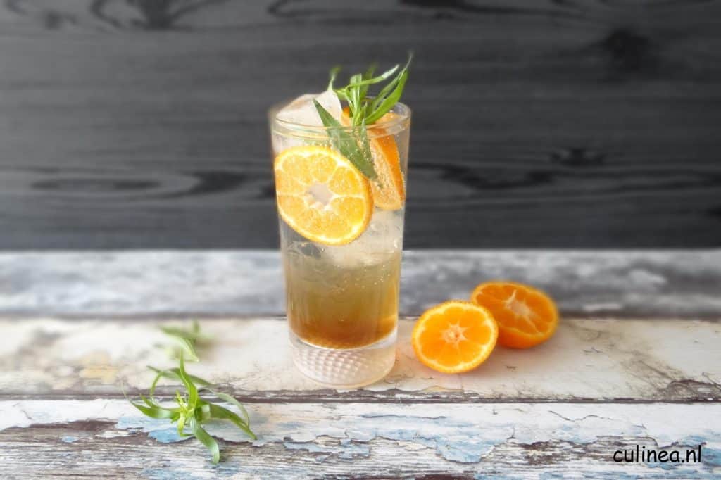 Gin Tonic met mandarijn en dragon