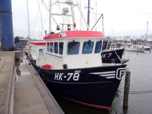 Het uitzetten van glasaaltjes in Wolderwijd