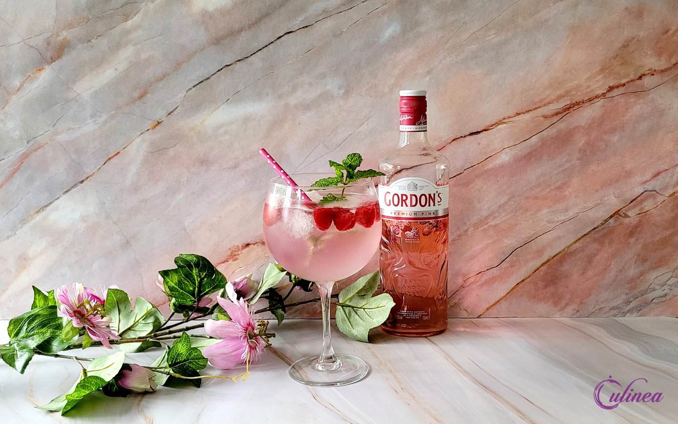 Roze Gin Tonic met frambozen en munt