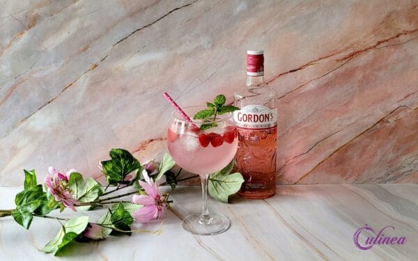 Roze Gin Tonic met frambozen en munt