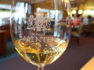 Een jaar na mijn gastric sleeve operatie