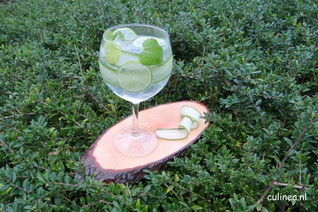 Gin & Tonic met komkommer