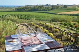 Italiaanse wijnen van Villa Fattoria