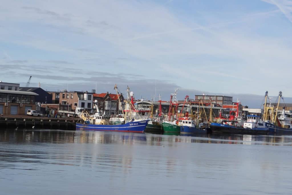 De Bewuste Visweek 2019