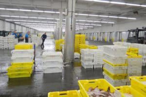 De Bewuste Visweek 2019