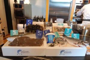 De Bewuste Visweek 2019