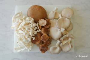 Pappardelle met paddenstoelen en roomsaus