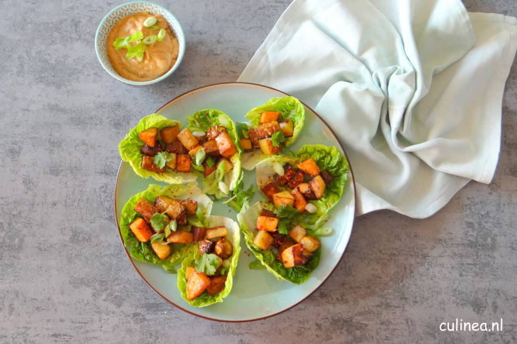 Vegetarische slawraps met tempeh