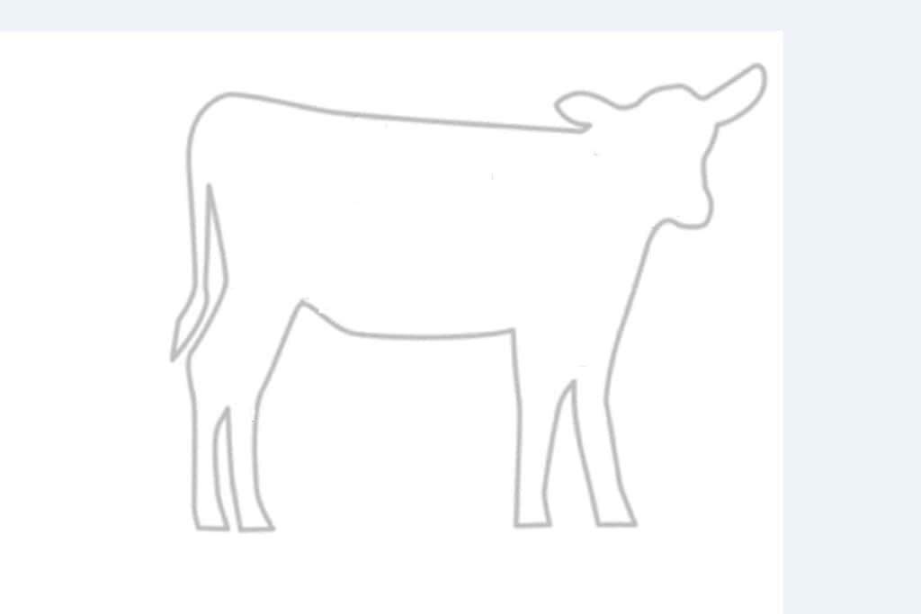 Eet jij wel eens kalfsvlees?