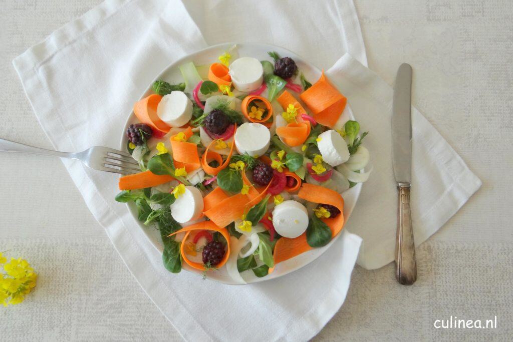 Venkel wortelsalade met geitenkaas
