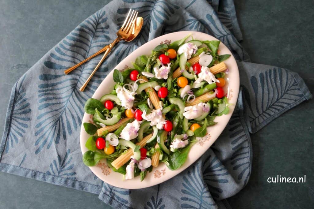 Zomerse salade met burrata