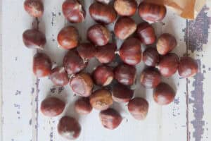 Veganistisch voedsel om spiermassa te winnen 