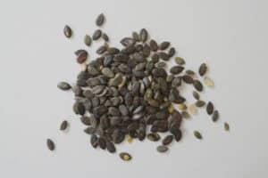 Veganistisch voedsel om spiermassa te winnen 