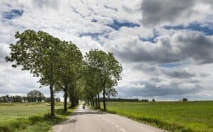 Lekker Lokaal van Laura de Grave