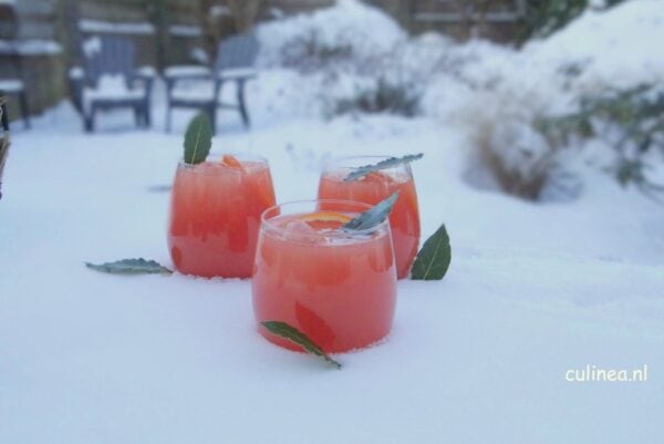 bloedsinaasappel Moscow Mule