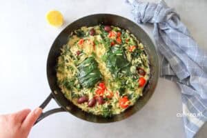 Ben jij een visliefhebber?