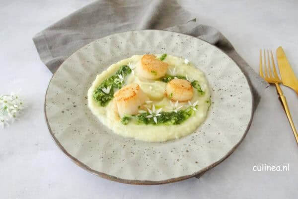 coquilles met bloemkoolpuree en pistou 