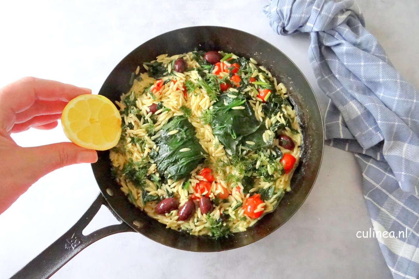 Heilbot in spinazieblad met orzo