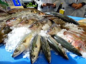 Culinair en cultureel genieten in St Nyk