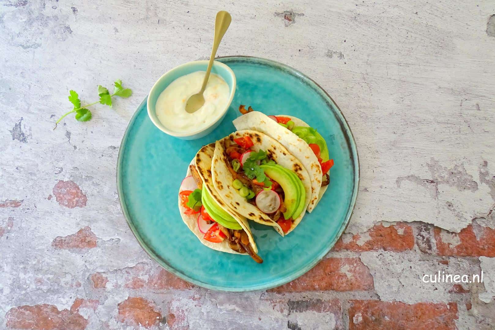 Tacos met pulled oesterzwammen