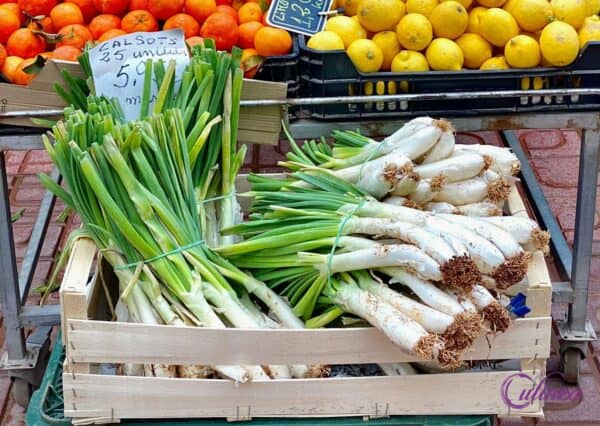 Geroosterde prei met Romesco saus