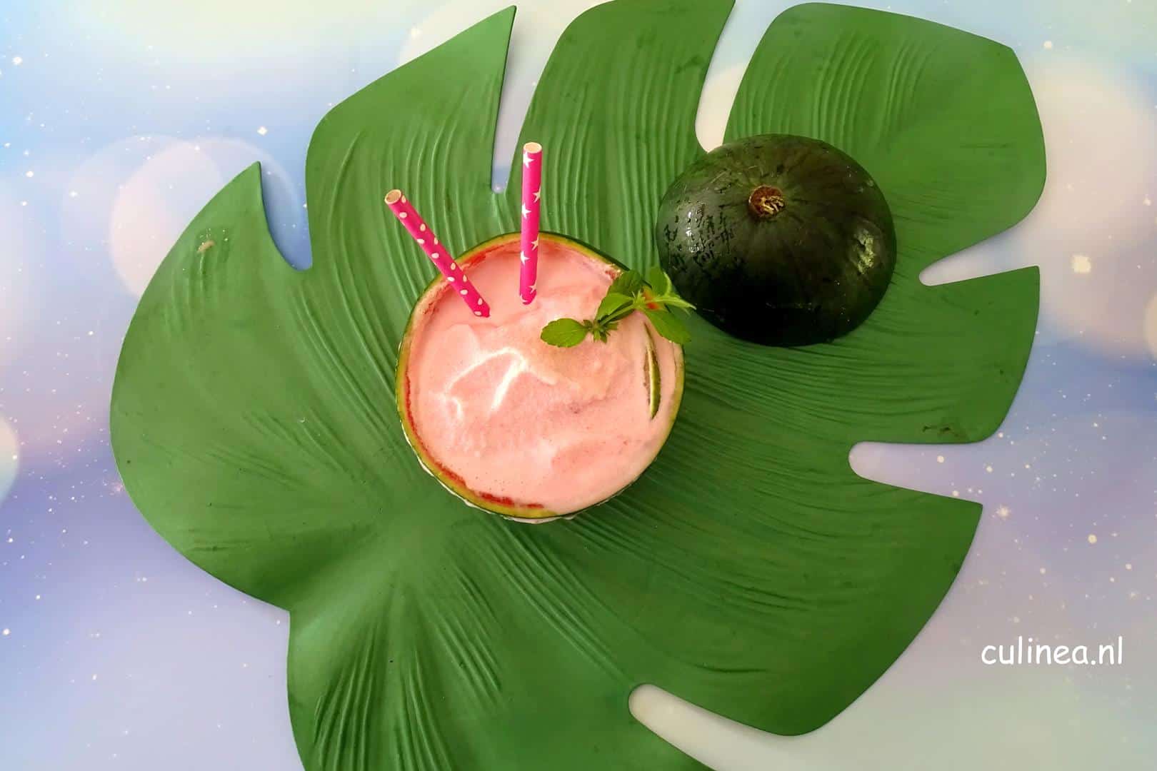 Watermeloen slush puppy