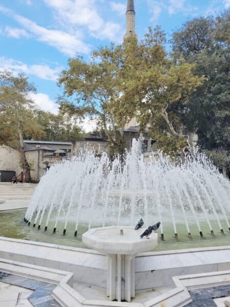 Wat hebben wij genoten in Istanbul