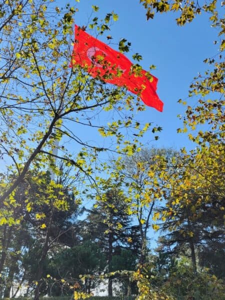 Wat hebben wij genoten in Istanbul