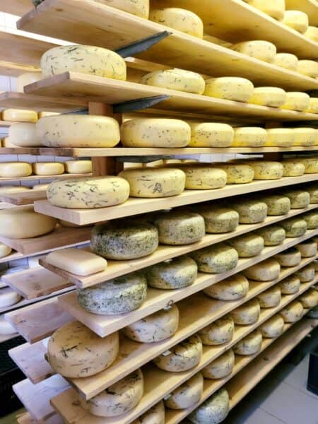 Uitwaaien op Terschelling