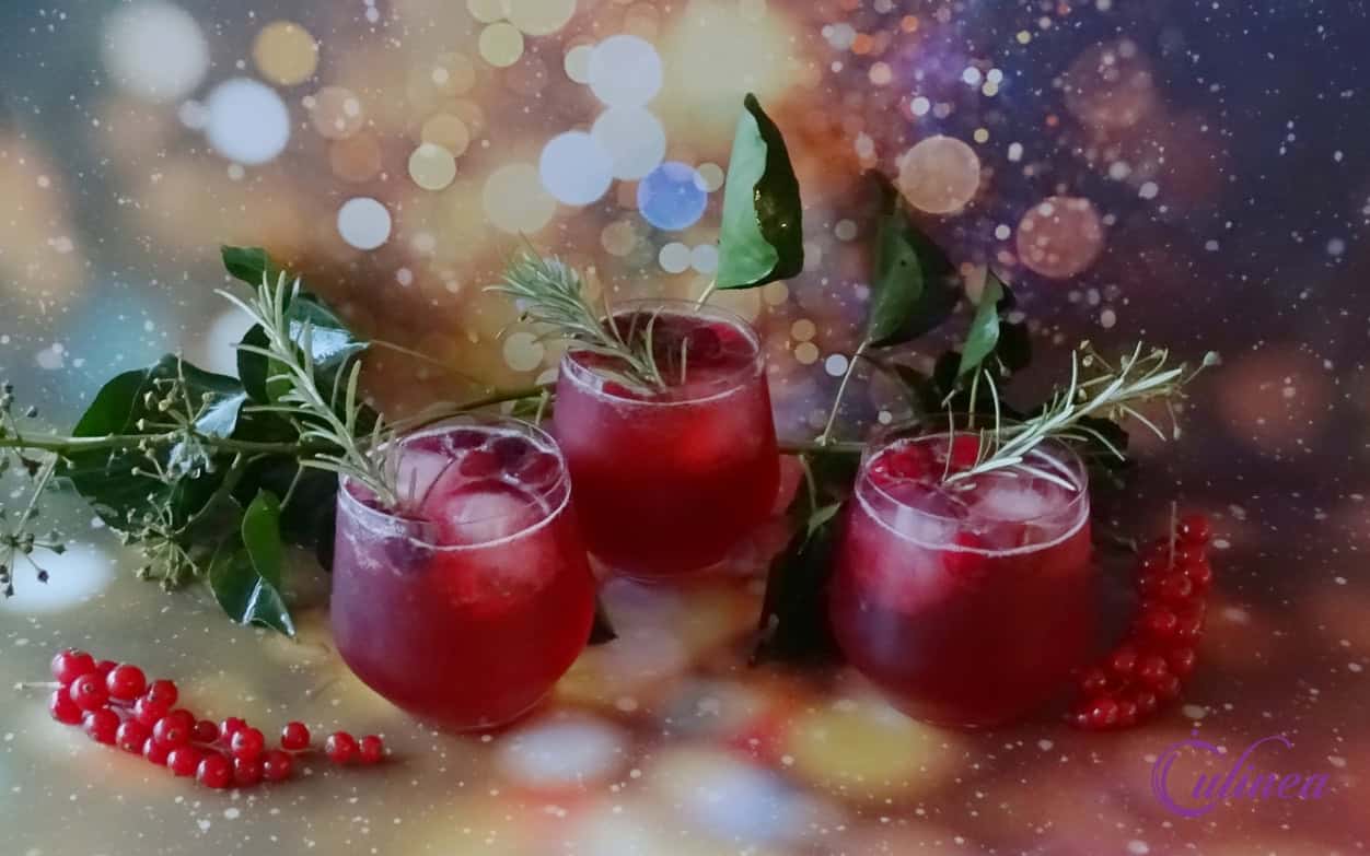 Cranberry rode bessen gin cocktail