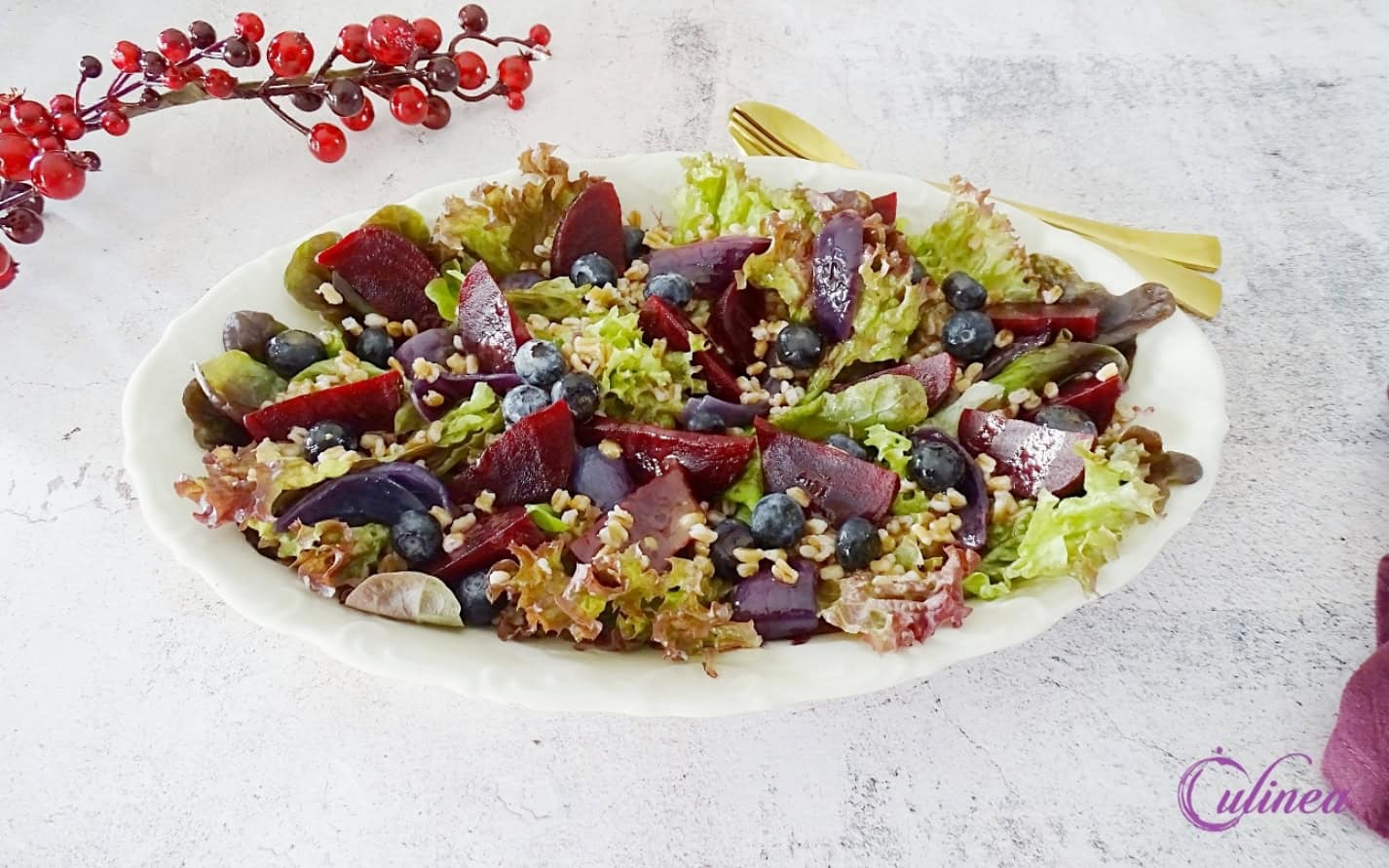 Salade met spelt, rode ui en biet