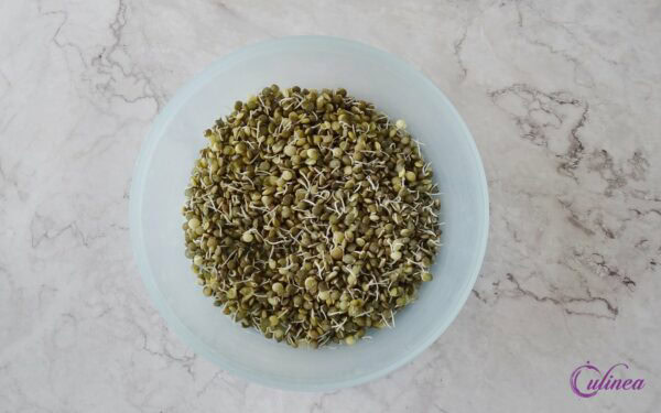 Zelf Kiemgroente van Linzen maken