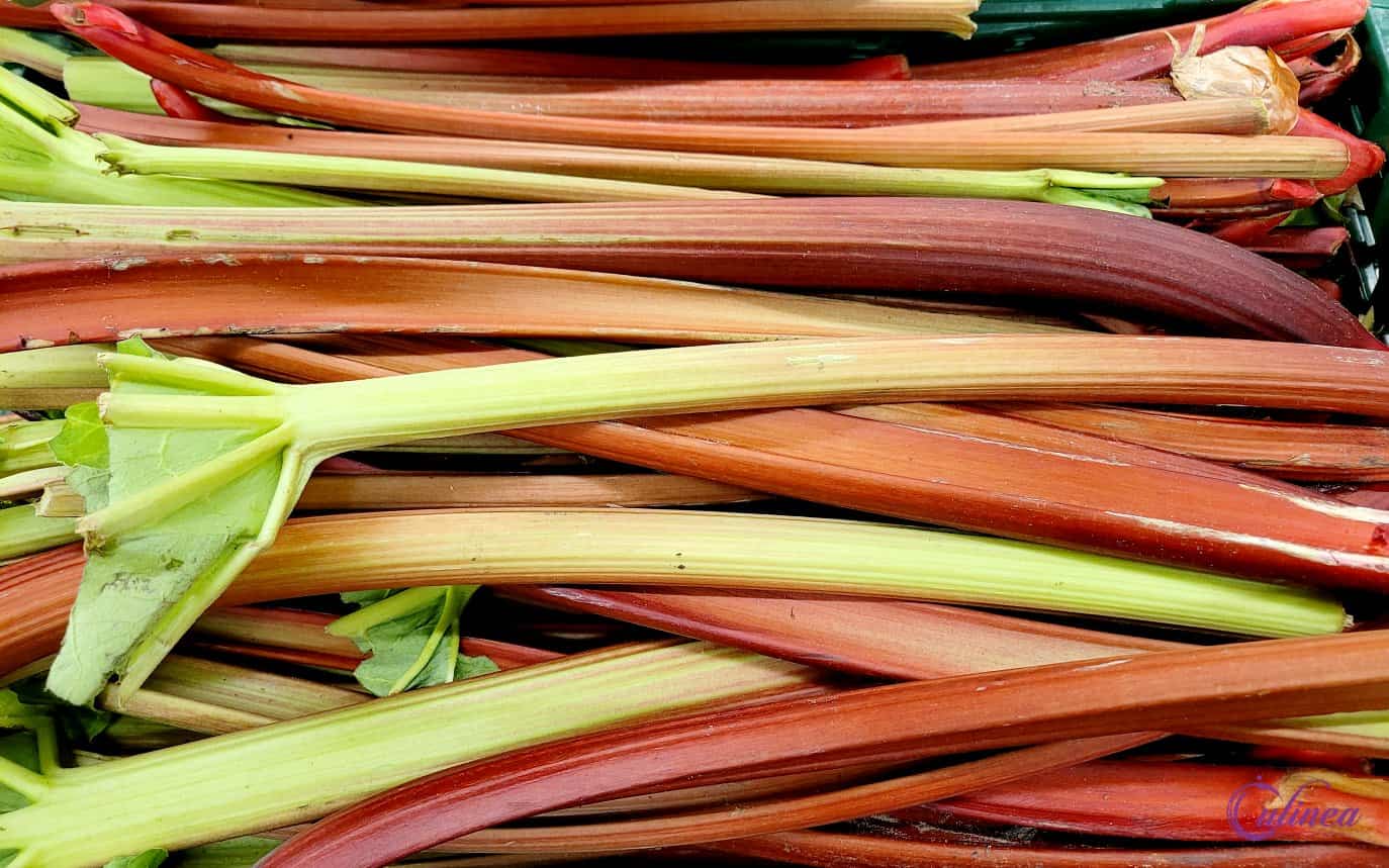 Heerlijke rabarberrecepten