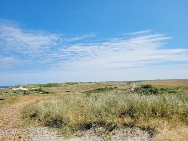 Onthaasten op Ameland