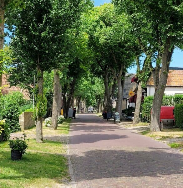 Onthaasten op Ameland