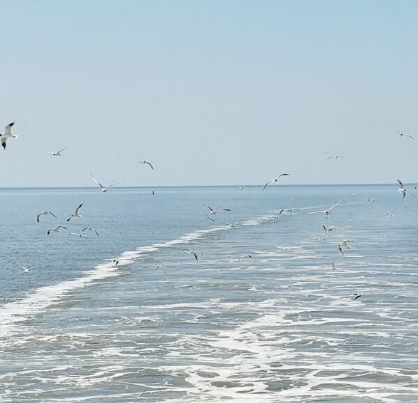 Onthaasten op Ameland