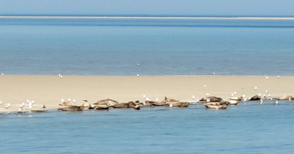 Onthaasten op Ameland