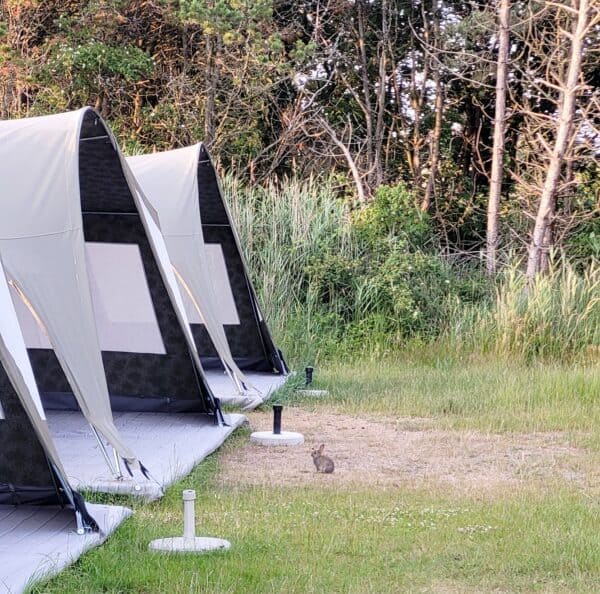 Onthaasten op Ameland