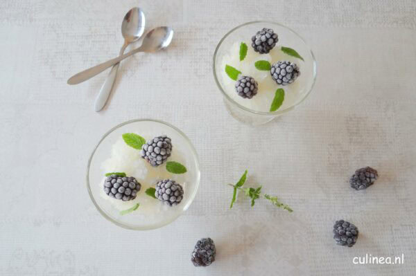 Lekkere ijsrecepten zonder ijsmachine