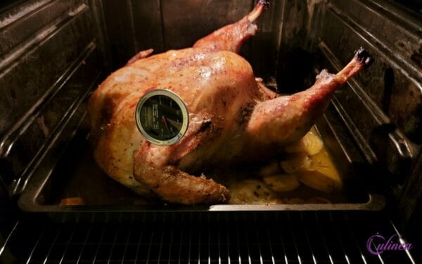Hoe een kalkoen droog te pekelen
