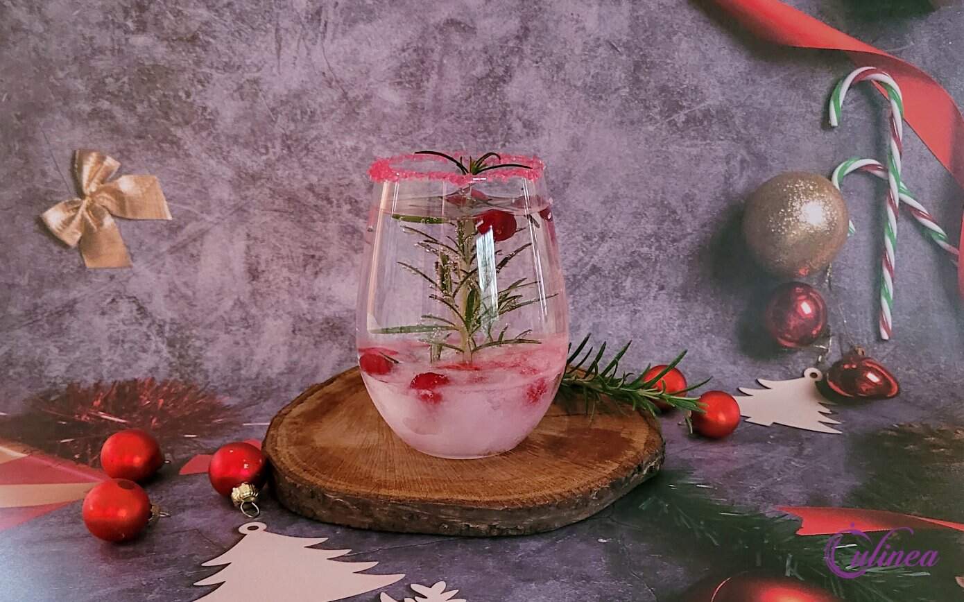 Cranberry en rozemarijn gin-tonic