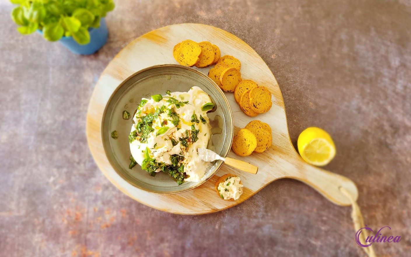 Burrata met basilicum en citroen