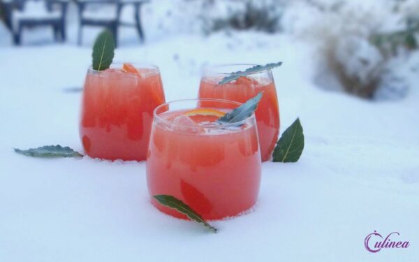 Bloedsinaasappelrecepten