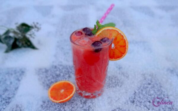 Bloedsinaasappelrecepten