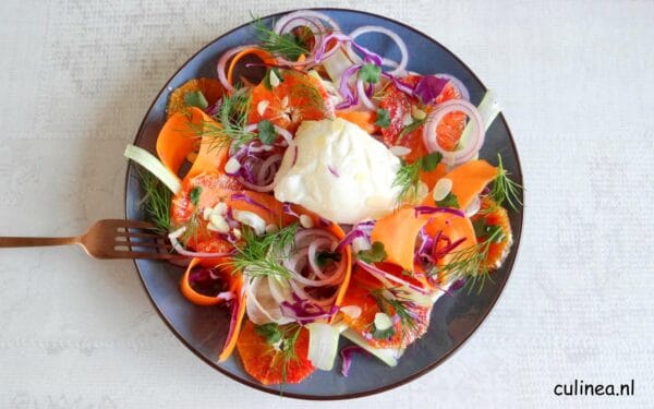 Bloedsinaasappelrecepten