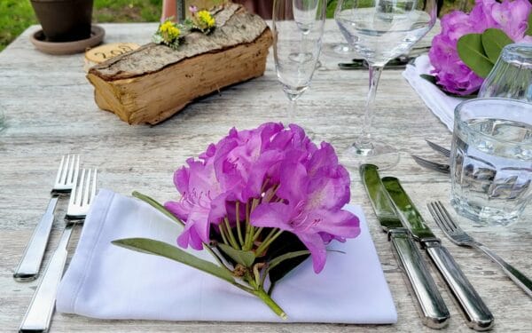 De Slotplaats in Bakkeveen