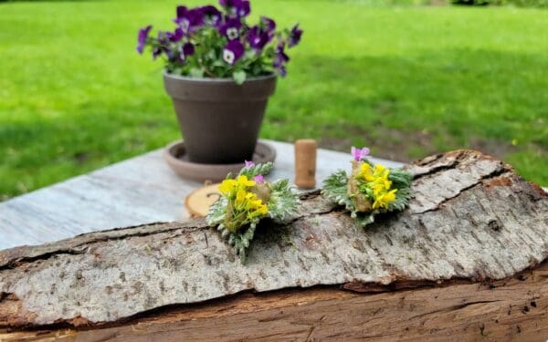 De Slotplaats in Bakkeveen