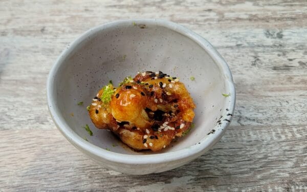 De Slotplaats in Bakkeveen