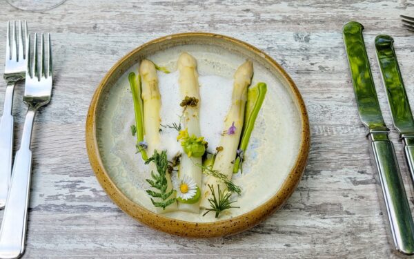 De Slotplaats in Bakkeveen